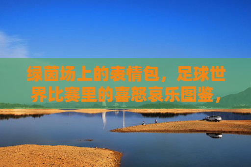 绿茵场上的表情包，足球世界比赛里的喜怒哀乐图鉴，足球表情包，绿茵场上的喜怒哀乐图鉴