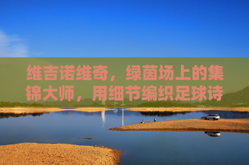 维吉诺维奇，绿茵场上的集锦大师，用细节编织足球诗篇，细节编织诗篇，维吉诺维奇的绿茵集锦