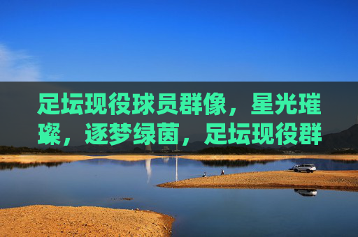 足坛现役球员群像,星光璀璨,逐梦绿茵,足坛现役群像,星光逐梦绿茵