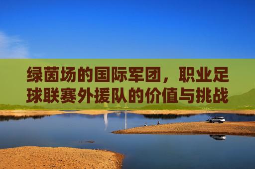 绿茵场的国际军团,职业足球联赛外援队的价值与挑战,绿茵场国际军团,职业足球外援的价值与挑战