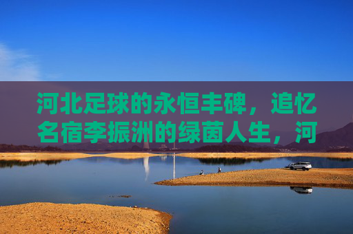 河北足球的永恒丰碑,追忆名宿李振洲的绿茵人生,河北足球永恒丰碑,李振洲的绿茵人生