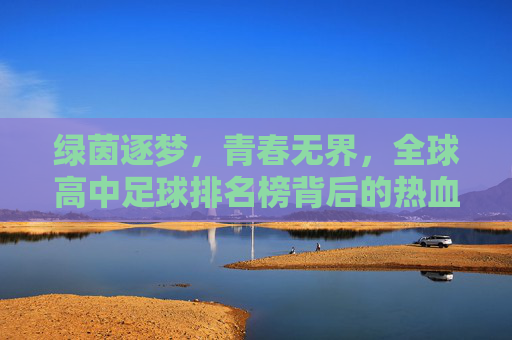 绿茵逐梦，青春无界，全球高中足球排名榜背后的热血与荣耀，绿茵逐梦，青春无界，全球高中足球排名榜的热血与荣耀