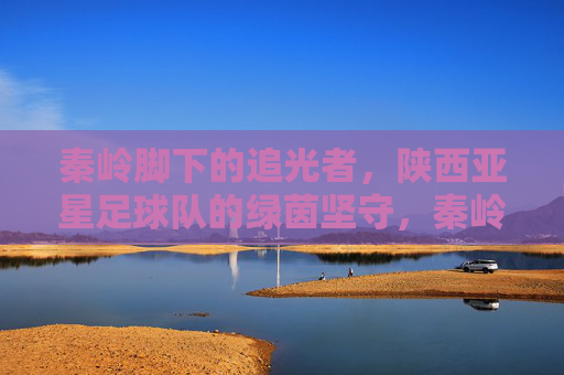 秦岭脚下的追光者,陕西亚星足球队的绿茵坚守,秦岭脚下的追光者,陕西亚星足球队的绿茵坚守