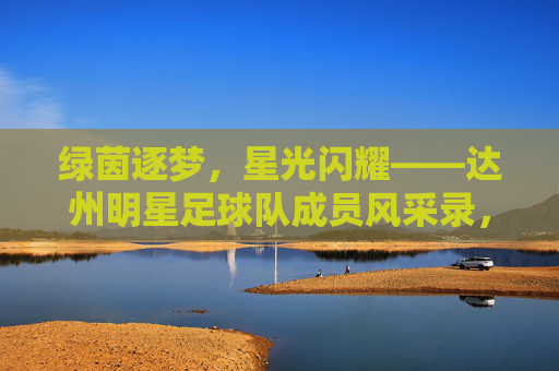 绿茵逐梦，星光闪耀——达州明星足球队成员风采录，绿茵逐梦星光耀，达州明星球员风采