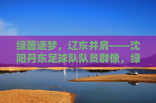 绿茵逐梦,辽东并肩——沈阳丹东足球队队员群像,绿茵逐梦,辽东并肩——沈阳丹东足球队队员群像