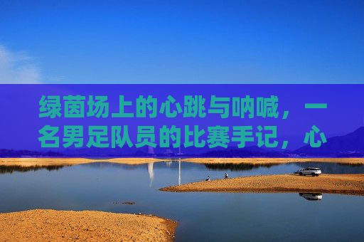 绿茵场上的心跳与呐喊，一名男足队员的比赛手记，心跳与呐喊，男足队员的绿茵手记