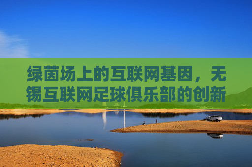 绿茵场上的互联网基因,无锡互联网足球俱乐部的创新之路