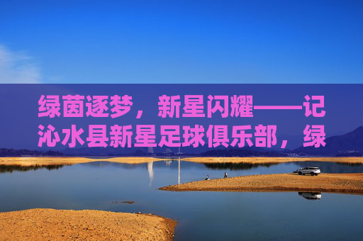 绿茵逐梦，新星闪耀——记沁水县新星足球俱乐部，绿茵逐梦新星闪耀——沁水县新星足球俱乐部