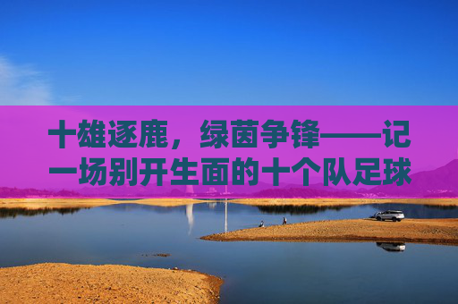 十雄逐鹿,绿茵争锋——记一场别开生面的十个队足球杯赛,十雄逐鹿,绿茵争锋——十个队足球杯赛