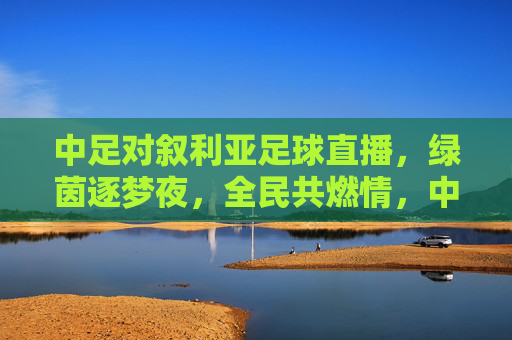 中足对叙利亚足球直播,绿茵逐梦夜,全民共燃情,中叙对决直播夜,绿茵逐梦全民燃情