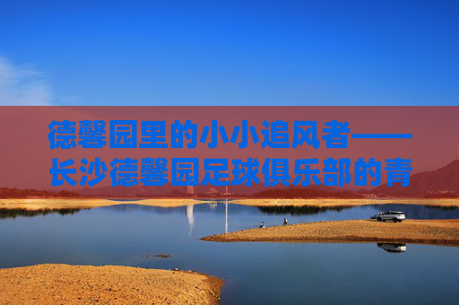 德馨园里的小小追风者——长沙德馨园足球俱乐部的青春足迹,德馨园小小追风者,足球青春的足迹