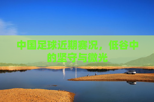 中国足球近期赛况,低谷中的坚守与微光