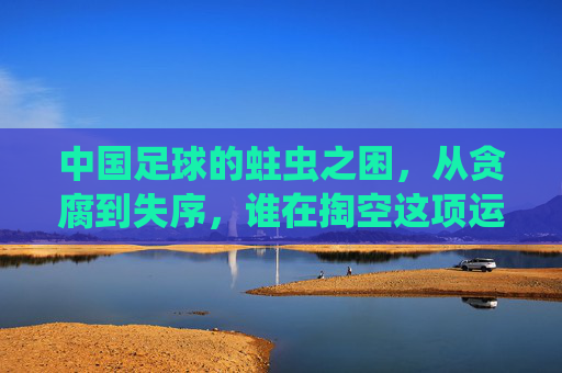 中国足球的蛀虫之困,从贪腐到失序,谁在掏空这项运动的根基?中国足球蛀虫之困,贪腐失序掏空运动根基