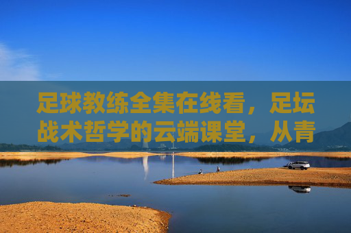 足球教练全集在线看，足坛战术哲学的云端课堂，从青训到巅峰的执教智慧，足球教练全集，云端课堂里的青训到巅峰战术哲学
