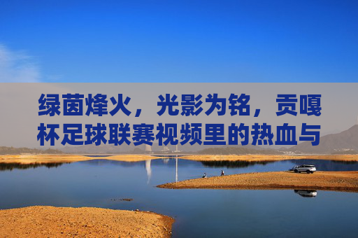 绿茵烽火,光影为铭,贡嘎杯足球联赛视频里的热血与传承,贡嘎杯绿茵烽火,光影铭刻热血传承