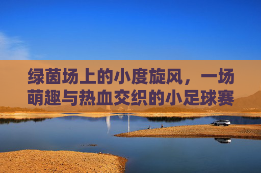 绿茵场上的小度旋风,一场萌趣与热血交织的小足球赛,小度旋风,萌趣热血绿茵赛
