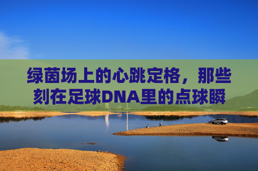绿茵场上的心跳定格，那些刻在足球DNA里的点球瞬间，点球入魂，绿茵场上的心跳永恒