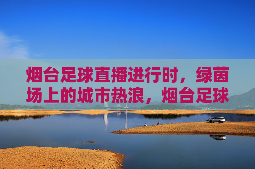 烟台足球直播进行时,绿茵场上的城市热浪,烟台足球直播,绿茵场上的城市热浪