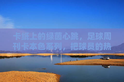 卡纸上的绿茵心跳,足球周刊卡本色系列,把球员的热爱装进收藏夹,卡纸绿茵心跳,收藏球员热爱