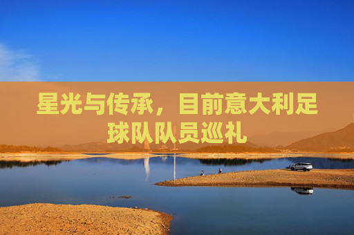 星光与传承,目前意大利足球队队员巡礼