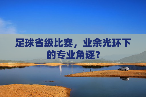 足球省级比赛,业余光环下的专业角逐?