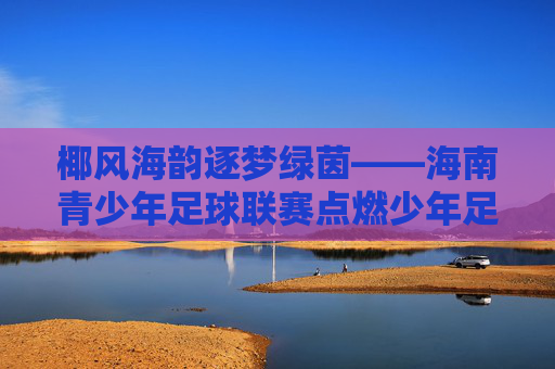椰风海韵逐梦绿茵——海南青少年足球联赛点燃少年足球激情，椰风海韵逐梦绿茵——海南青少年足球联赛燃少年激情