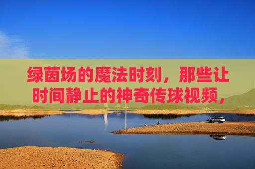 绿茵场的魔法时刻,那些让时间静止的神奇传球视频,绿茵场魔法传球,时间静止的瞬间