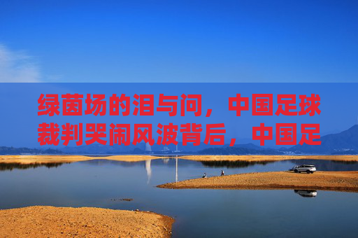 绿茵场的泪与问,中国足球裁判哭闹风波背后,中国足球裁判哭闹风波背后,绿茵场的泪与问