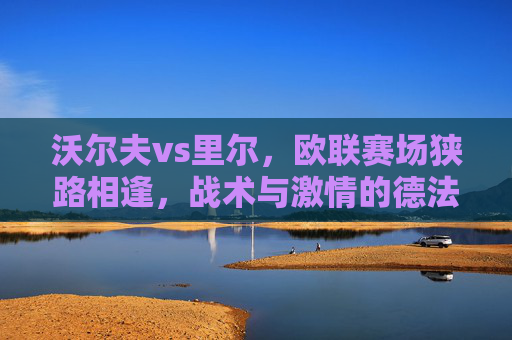 沃尔夫vs里尔，欧联赛场狭路相逢，战术与激情的德法对决，沃尔夫vs里尔，欧联德法对决，战术与激情碰撞