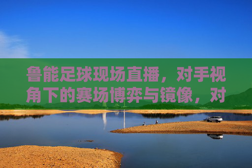 鲁能足球现场直播,对手视角下的赛场博弈与镜像,对手视角,鲁能足球赛场博弈与镜像