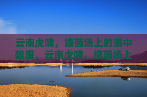 云南虎啸,绿茵场上的滇中雄鹰,云南虎啸,绿茵场上的滇中雄鹰
