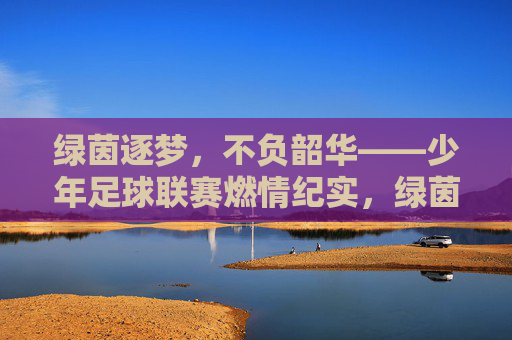 绿茵逐梦，不负韶华——少年足球联赛燃情纪实，绿茵逐梦，不负韶华——少年足球联赛燃情纪实