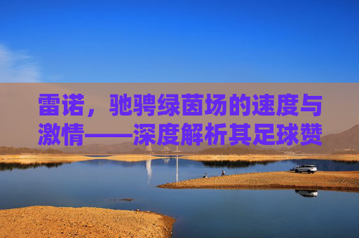 雷诺,驰骋绿茵场的速度与激情——深度解析其足球赞助战略,雷诺足球赞助战略,速度与激情的绿茵之道