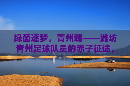 绿茵逐梦，青州魂——潍坊青州足球队员的赤子征途，绿茵逐梦青州魂，赤子征途