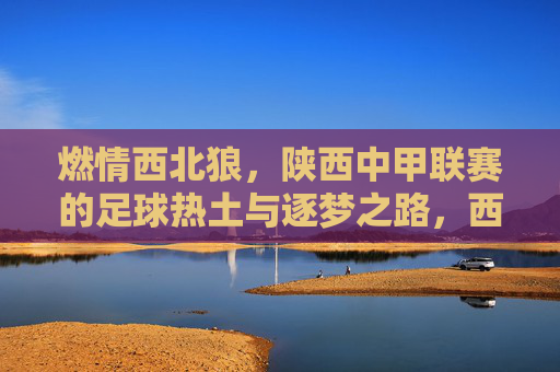 燃情西北狼,陕西中甲联赛的足球热土与逐梦之路,西北狼燃情中甲,陕西足球的热土逐梦路