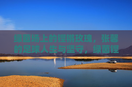 绿茵场上的铿锵玫瑰,张馨的足球人生与坚守,绿茵铿锵玫瑰,张馨的足球人生与坚守