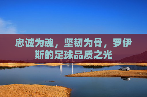 忠诚为魂,坚韧为骨,罗伊斯的足球品质之光