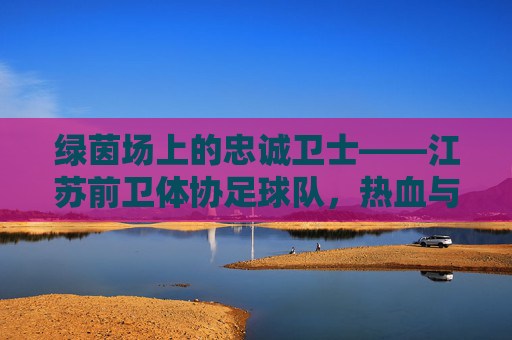 绿茵场上的忠诚卫士——江苏前卫体协足球队,热血与使命的交织,绿茵场上的忠诚卫士,江苏前卫体协足球队的热血与使命
