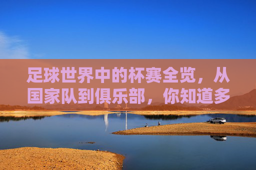 足球世界中的杯赛全览,从国家队到俱乐部,你知道多少?足球世界杯赛全览,从国家队到俱乐部
