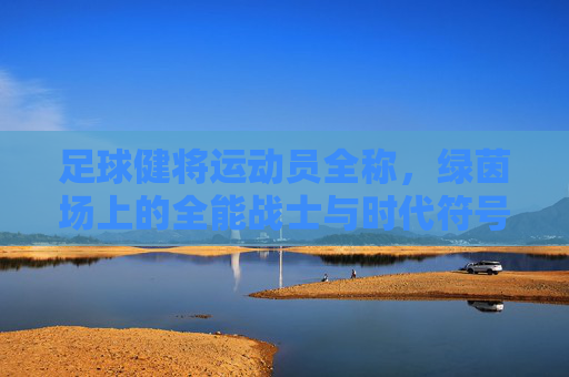 足球健将运动员全称，绿茵场上的全能战士与时代符号，绿茵全能战士，足球健将的时代符号