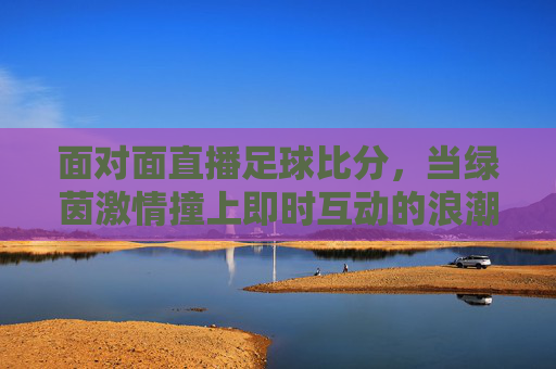 面对面直播足球比分,当绿茵激情撞上即时互动的浪潮