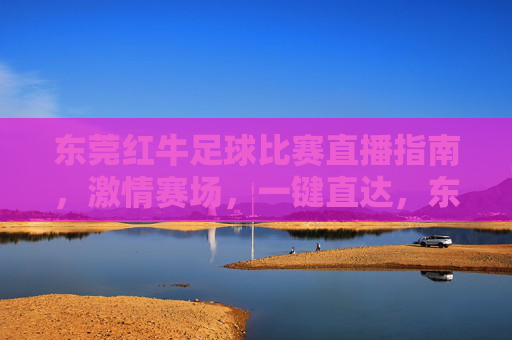 东莞红牛足球比赛直播指南,激情赛场,一键直达,东莞红牛足球比赛直播指南,激情赛场,一键直达