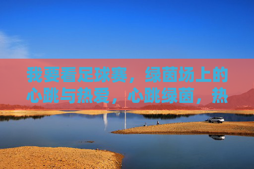 我要看足球赛，绿茵场上的心跳与热爱，心跳绿茵，热爱燃场