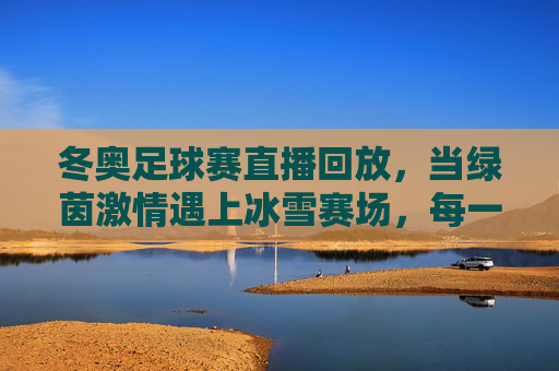 冬奥足球赛直播回放,当绿茵激情遇上冰雪赛场,每一帧都是热血记忆,冬奥足球赛,冰雪绿茵间的热血回放