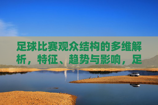 足球比赛观众结构的多维解析,特征、趋势与影响,足球比赛观众结构的多维解析,特征、趋势与影响