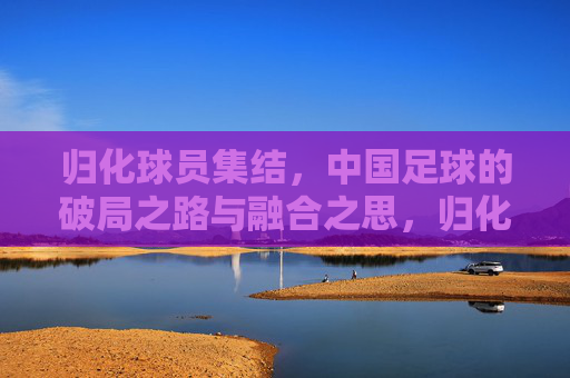 归化球员集结,中国足球的破局之路与融合之思,归化球员集结,中国足球的破局融合之路