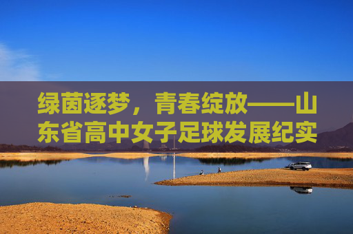 绿茵逐梦，青春绽放——山东省高中女子足球发展纪实，逐梦绿茵，青春绽放——山东高中女足发展纪实