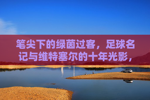 笔尖下的绿茵过客,足球名记与维特塞尔的十年光影,笔尖下的绿茵过客,足球名记与维特塞尔十年光影
