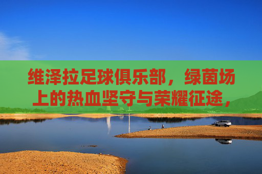 维泽拉足球俱乐部,绿茵场上的热血坚守与荣耀征途,维泽拉足球俱乐部,绿茵场上的热血坚守与荣耀征途