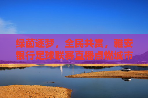 绿茵逐梦，全民共赏，雅安银行足球联赛直播点燃城市足球热情，雅安银行足球联赛直播点燃全民足球热情